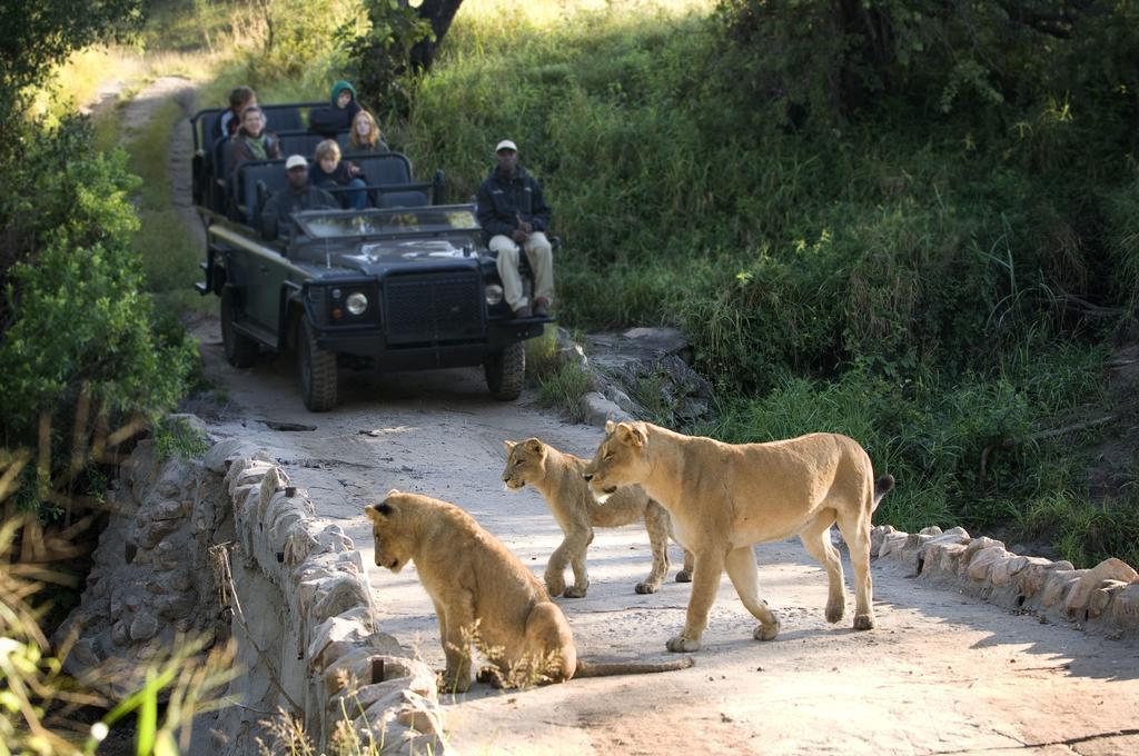 Lion Sands - Tinga Lodge Skukuza Kültér fotó