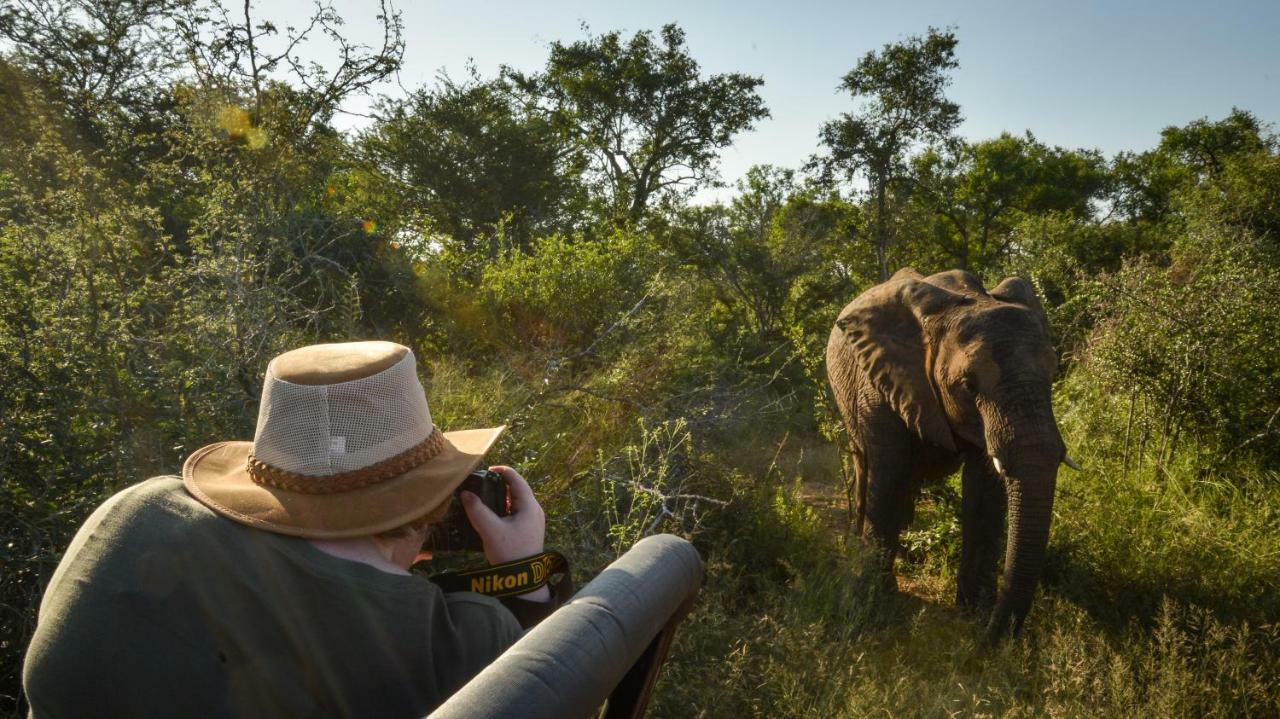 Lion Sands - Tinga Lodge Skukuza Kültér fotó